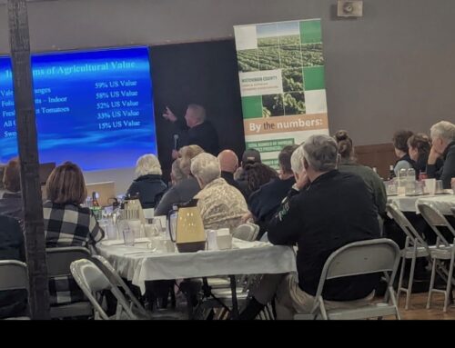 Staying Up When the Markets are Down and Remaining Resilient